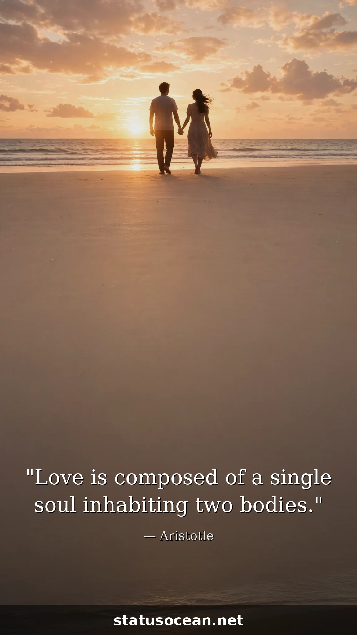 Love is composed of a single soul inhabiting two bodies.