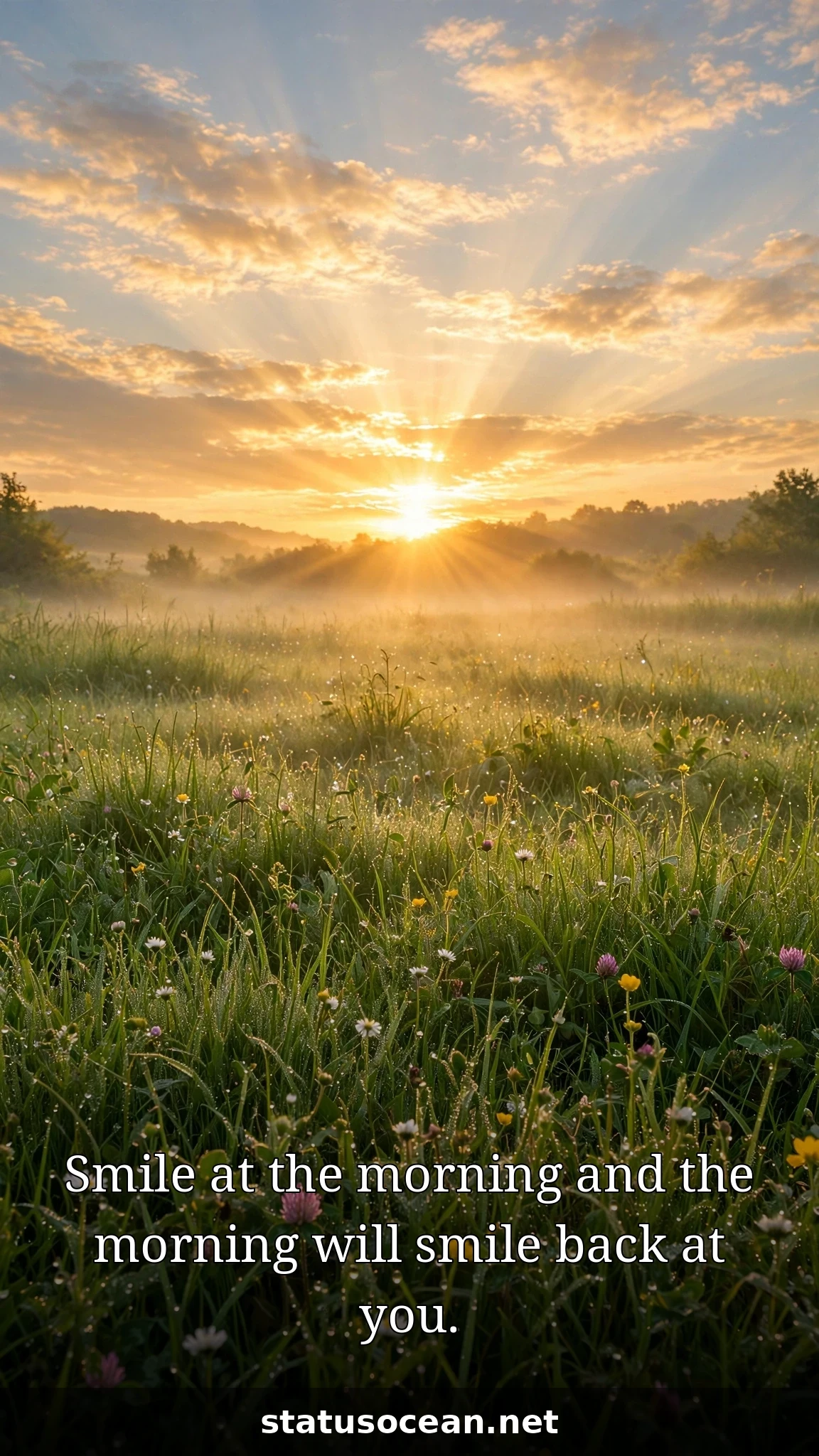 Smile at the morning and the morning will smile back at you.